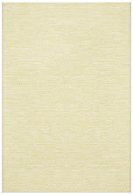 Paris Indoor Outdoor Light Green Rug