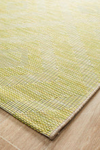 Paris Indoor Outdoor Light Green Rug