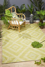 Paris Indoor Outdoor Light Green Rug